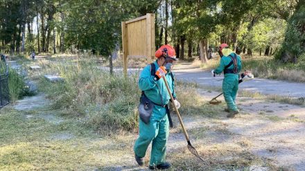 Primera jornada de trabajo del 'Programa Elmet'