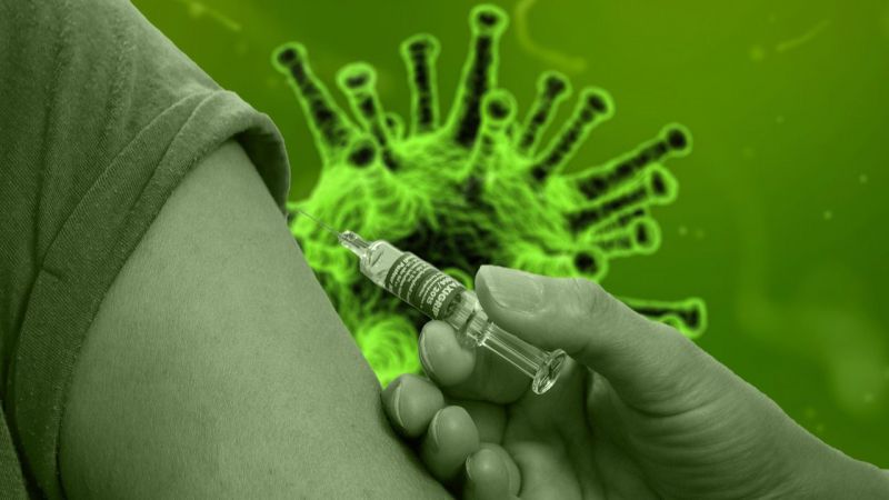 La búsqueda de la vacuna anti Coronavirus: Por el dinero baila el... mono