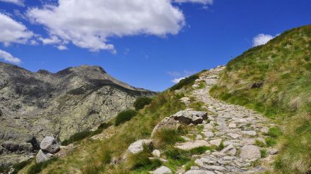 Colocaba trampas prohibidas en espacios naturales de Gredos