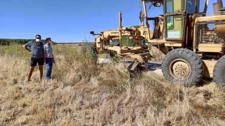 Segunda fase de control de topillos en La Moraña