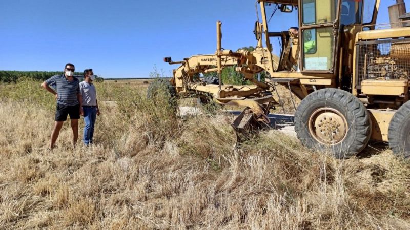 Segunda fase de control de topillos en La Moraña