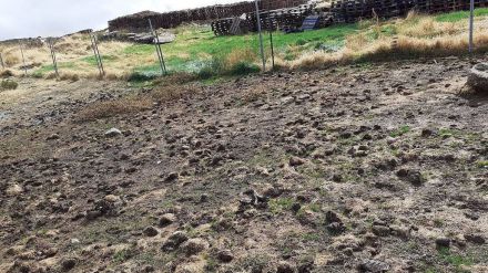 Denunciada la granja de visón americano de Peguerinos (Ávila) por un vertido contaminante