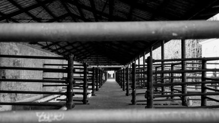 500.000 euros para la reconversión del antiguo matadero de Ávila en una nueva infraestructura cultural