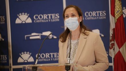 Ciudadanos pide en las Cortes el respaldo de la Junta a la planta fotovoltaica de Las Navas del Marqués