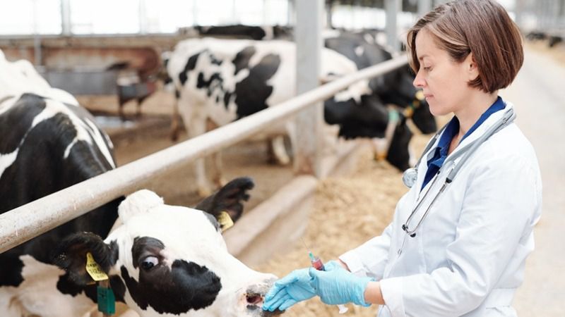 Por Ávila propone la creación de los Premios a la Mujer en el Medio Rural