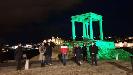 Ávila se tiñe de verde contra el cáncer