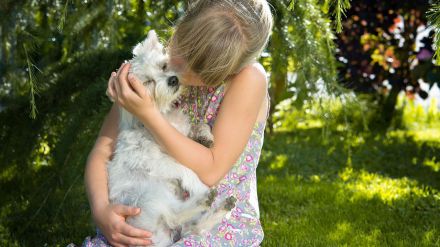 "Al pan pan y a los animales sensibilidad"