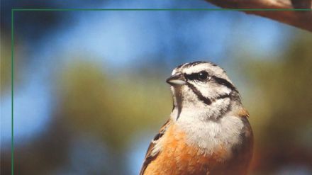 Programa de actividades de primavera del Centro Medioambiental de San Nicolás