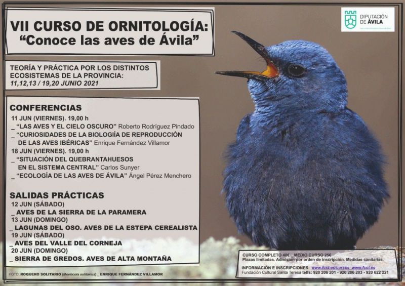 Conoce las aves de Ávila