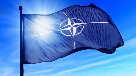 'Un proyecto de Paz': OTAN