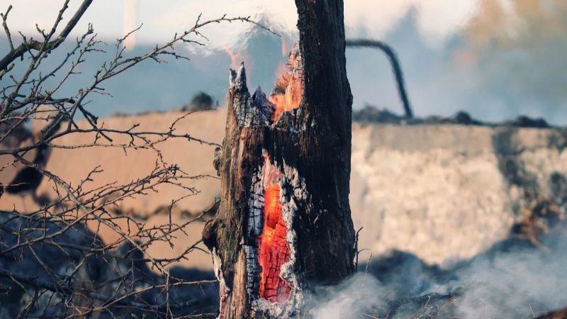 Alerta de riesgo de incendios forestales por causas meteorológicas del 21 al 23 de julio en toda Castilla y León