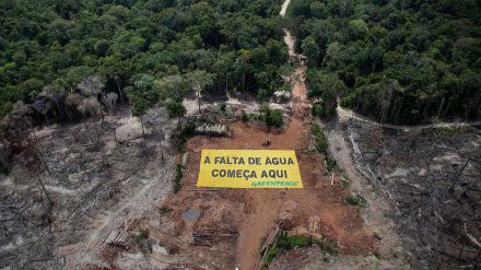 La llegada del Yacaré