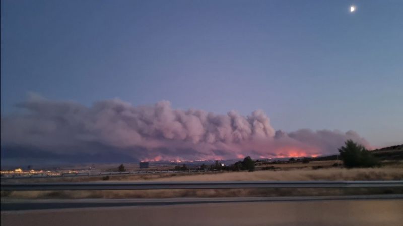 Ciudadanos también solicita la declaración de zona catastrófica para los municipios afectados por el incendio