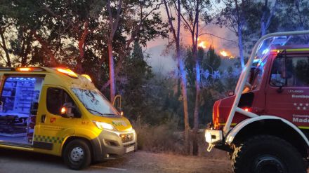 WWF pide al Gobierno un plan de restauración integral y participativo tras el incendio de Ávila