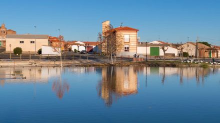 Detectado el virus de influenza aviar en cinco aves silvestres de la laguna El Bohodón en Ávila