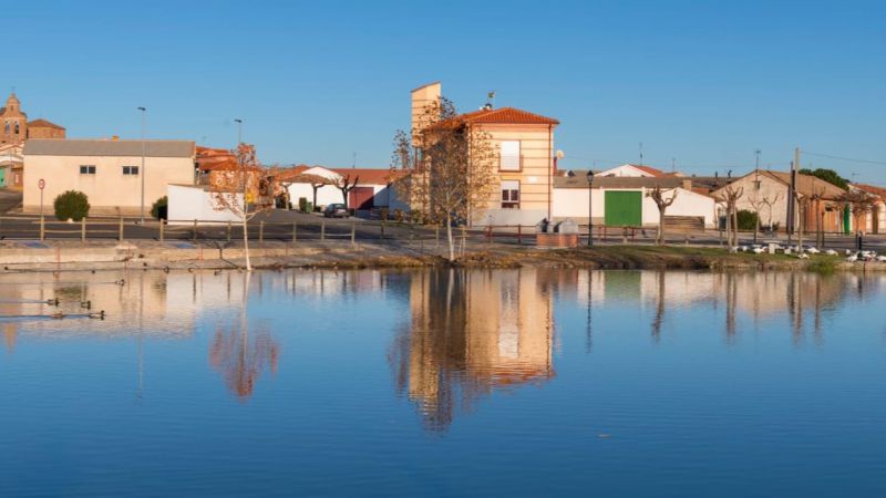 Detectado el virus de influenza aviar en cinco aves silvestres de la laguna El Bohodón en Ávila