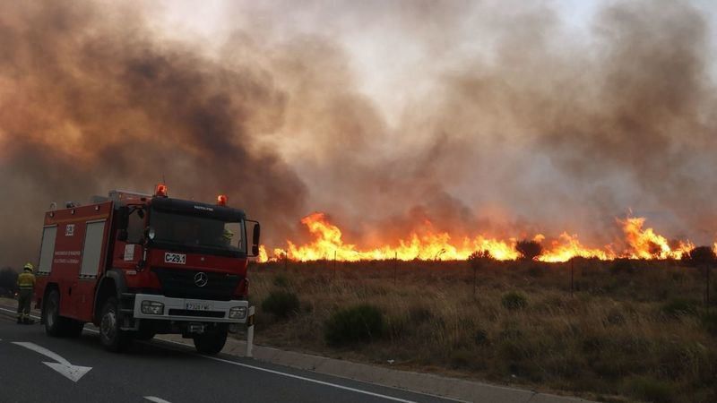 La Junta procede al levantamiento del acotado de los pastos en el incendio de Sotalbo en Ávila