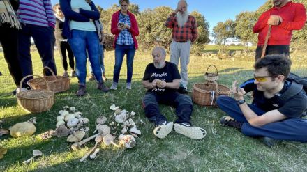 'Conoce los hongos de Ávila' cumple su objetivo de 'conocimiento y conservación de las especies'