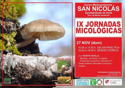 IX Jornadas Micológicas en Ávila