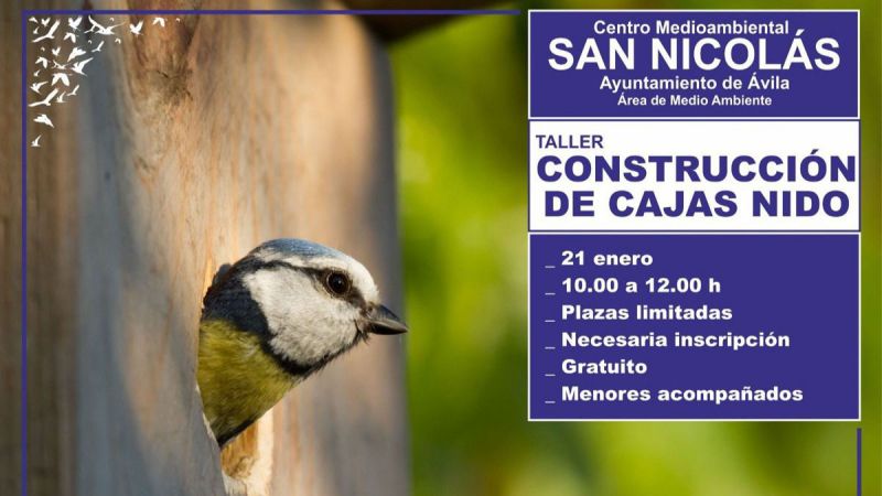 Nuevas actividades del Centro Medioambiental San Nicolás