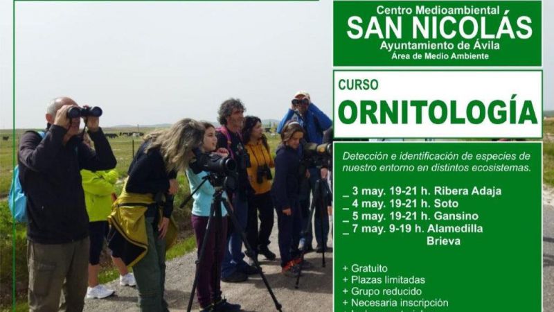 Curso de ornitología previo al Festival de los Vencejos