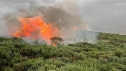 El incendio que calcinó 158 hectáreas en Aliseda de Tormes por fin se apaga