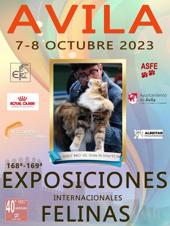 Agenda: Ávila como sede de las exposiciones internacionales felinas