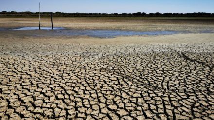 El verano de 2022 fue el más caluroso en España de los últimos 700 años
