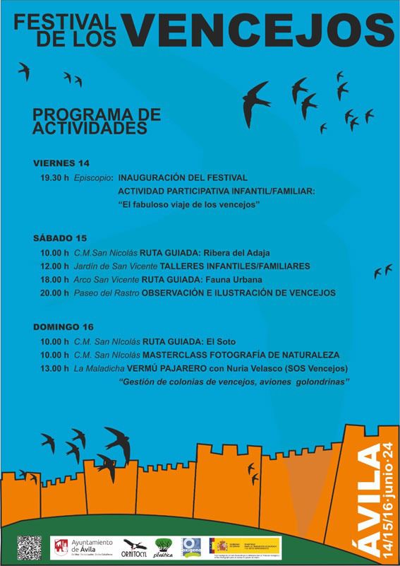 Agenda Ávila: Nueva edición del Festival de los Vencejos