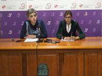 El PP adjudica ' a dedo' el 88 torreones