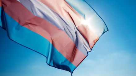 Inauguran la exposición 'Referentes Trans' en Ávila para visibilizar a personas trans y no binarias