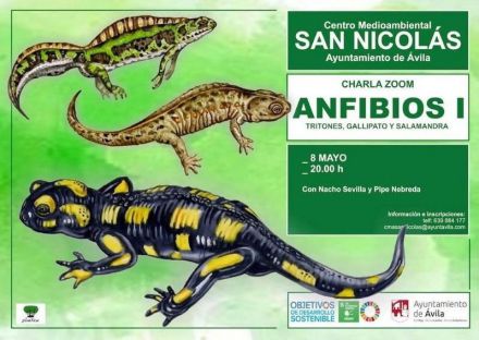 Charla Zoom sobre urodelos: descubre los anfibios con cola en Ávila