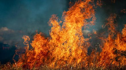 Junta de Castilla y León activa alerta máxima por riesgo de incendios del 19 al 22 de agosto