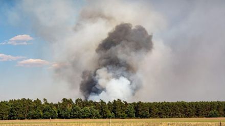 Alerta de incendios forestales en Castilla y León del 17 al 19 de septiembre por altas temperaturas