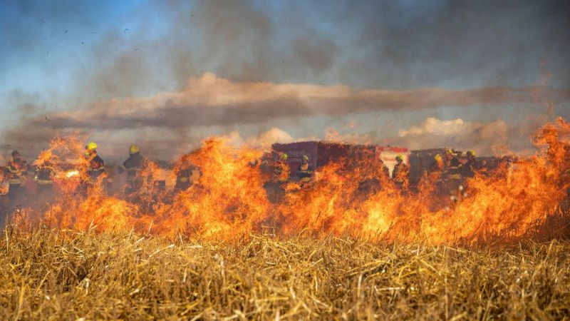 Más de 600 agricultores y 568 familias reciben apoyo del Plan de Recuperación tras incendios en Castilla y León