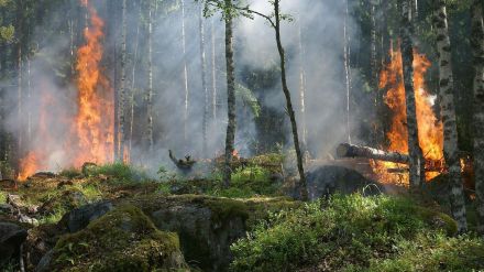 Ávila incorpora tecnología avanzada en su estrategia contra incendios forestales