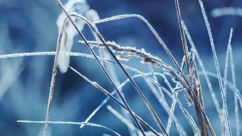 Cuatro de las diez temperaturas más frías de España se registran en Castilla y León