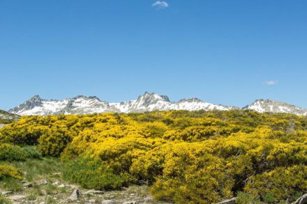 Ecologistas demandan el proyecto 'Stelarium Ávila Center' en área protegida de Gredos