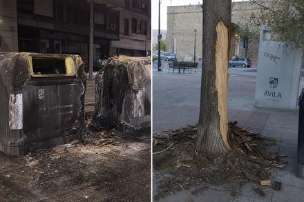 Ávila solicita ayuda ciudadana tras quema de contenedores y vandalismo en árboles