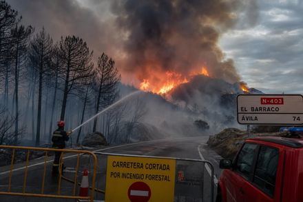 Incendio en El Barraco (Ávila) clasificado como grave por corte de carretera N-403