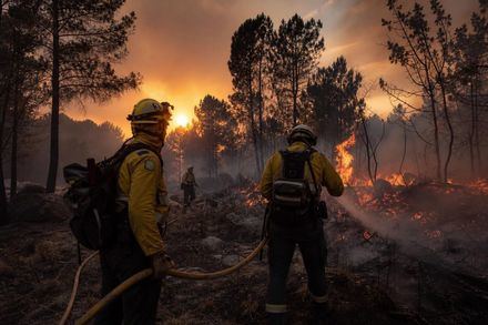 Desalojos y confinamientos en Ávila por incendio forestal