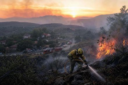 Cierra carretera entre El Tiemblo y Cebreros por incendio en Ávila
