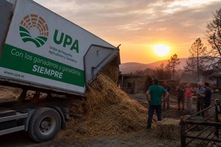 UPA Ávila enviará camiones de forraje y paja para ayudar al ganado afectado por el incendio