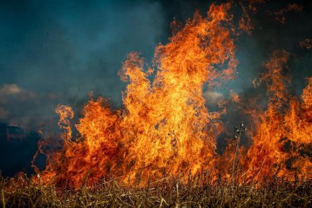 Incendio en Ávila provoca evacuaciones y afecta a 30.000 personas