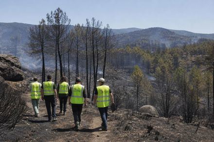 Junta de Castilla y León analiza daños del incendio en el Valle de Iruelas