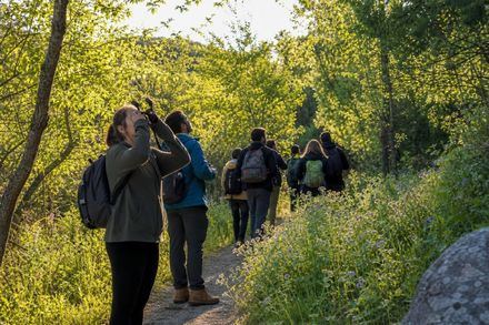 Ávila presenta nuevas rutas para explorar sus ecosistemas naturales