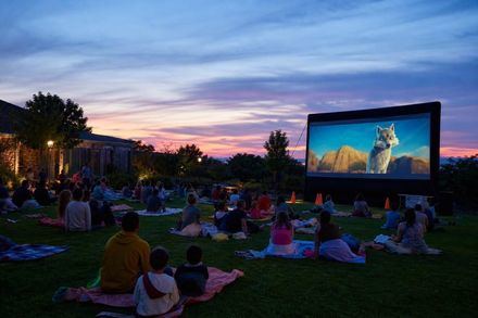 Cine al aire libre y taller de refugios para insectos en Ávila esta semana