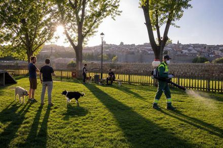 Desinsectación en parques caninos de Ávila del 17 al 20 de agosto