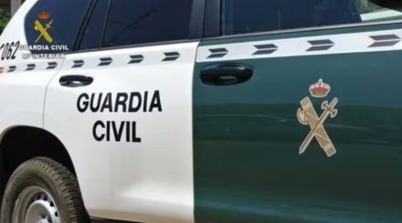 Denuncian que macrogranja porcina en Ávila evade evaluación ambiental