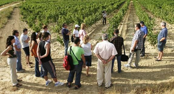 “El enoturismo mejora sus cifras y Ávila puede aprovecharse de ello”